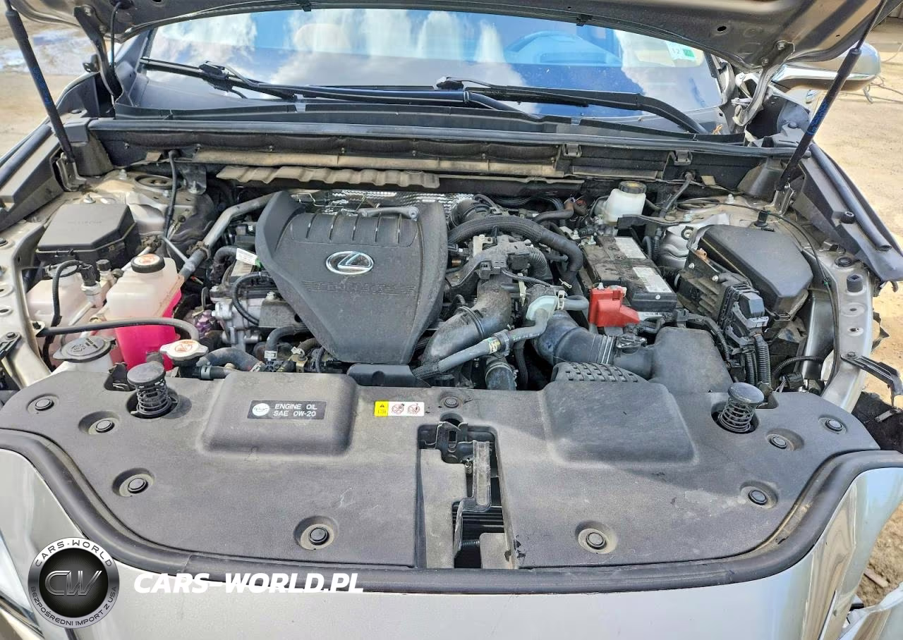 2024 Lexus Nx 350 Premium VIN:2T2GGCEZXRC036795 - 12