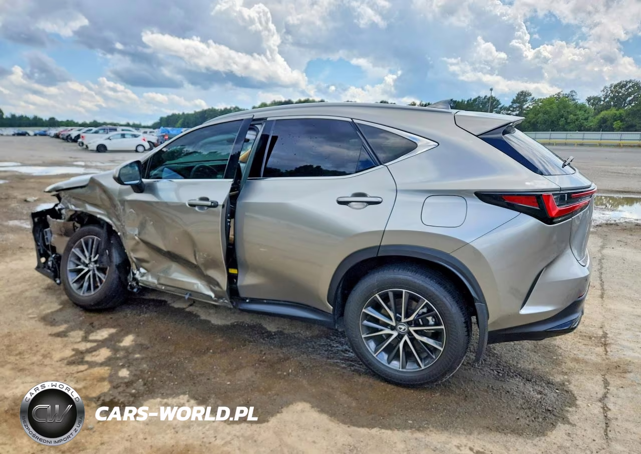 2024 Lexus Nx 350 Premium VIN:2T2GGCEZXRC036795 - 2