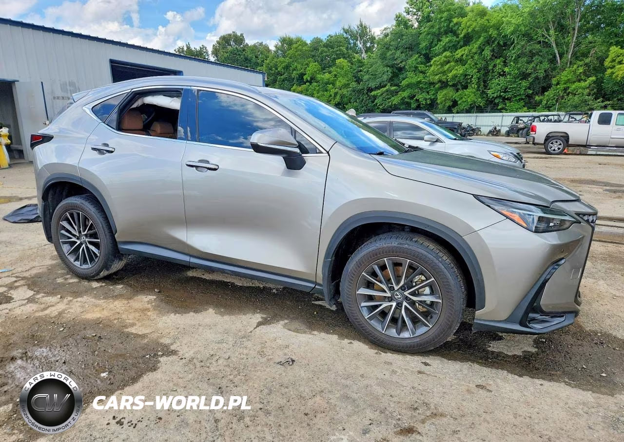 2024 Lexus Nx 350 Premium VIN:2T2GGCEZXRC036795 - 4