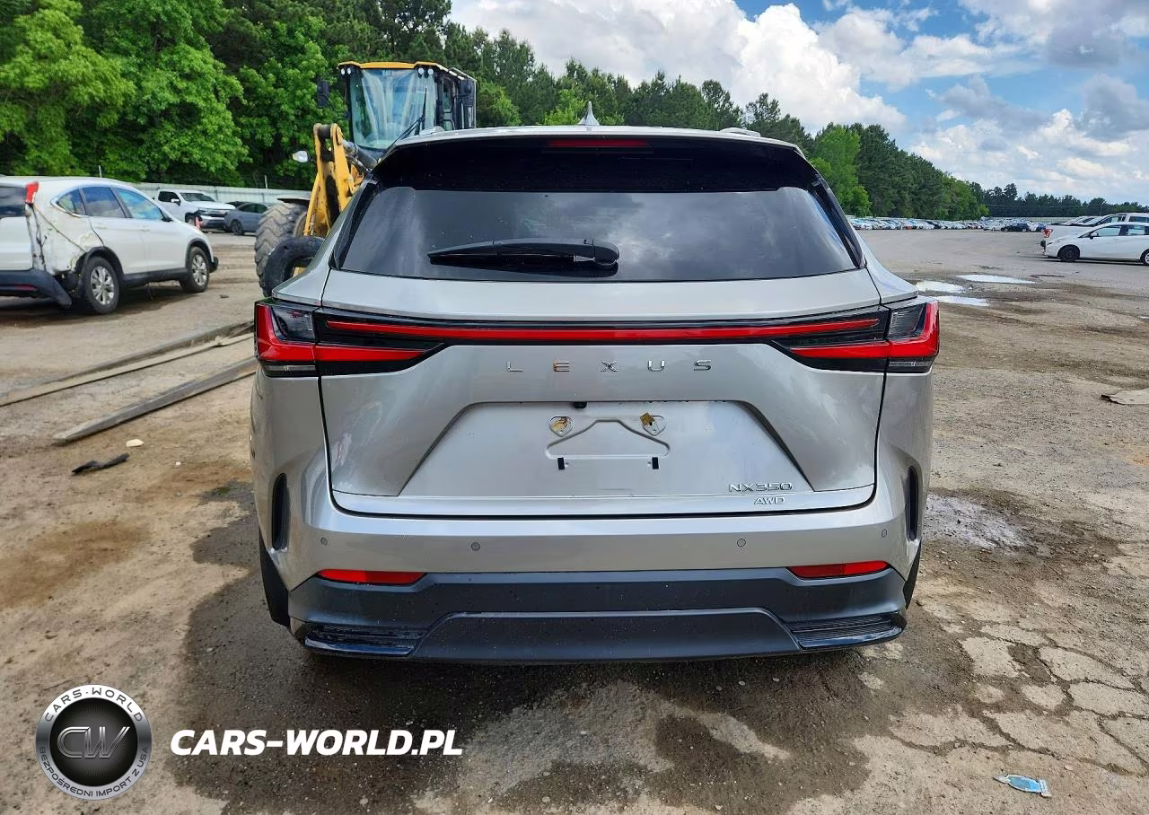 2024 Lexus Nx 350 Premium VIN:2T2GGCEZXRC036795 - 6
