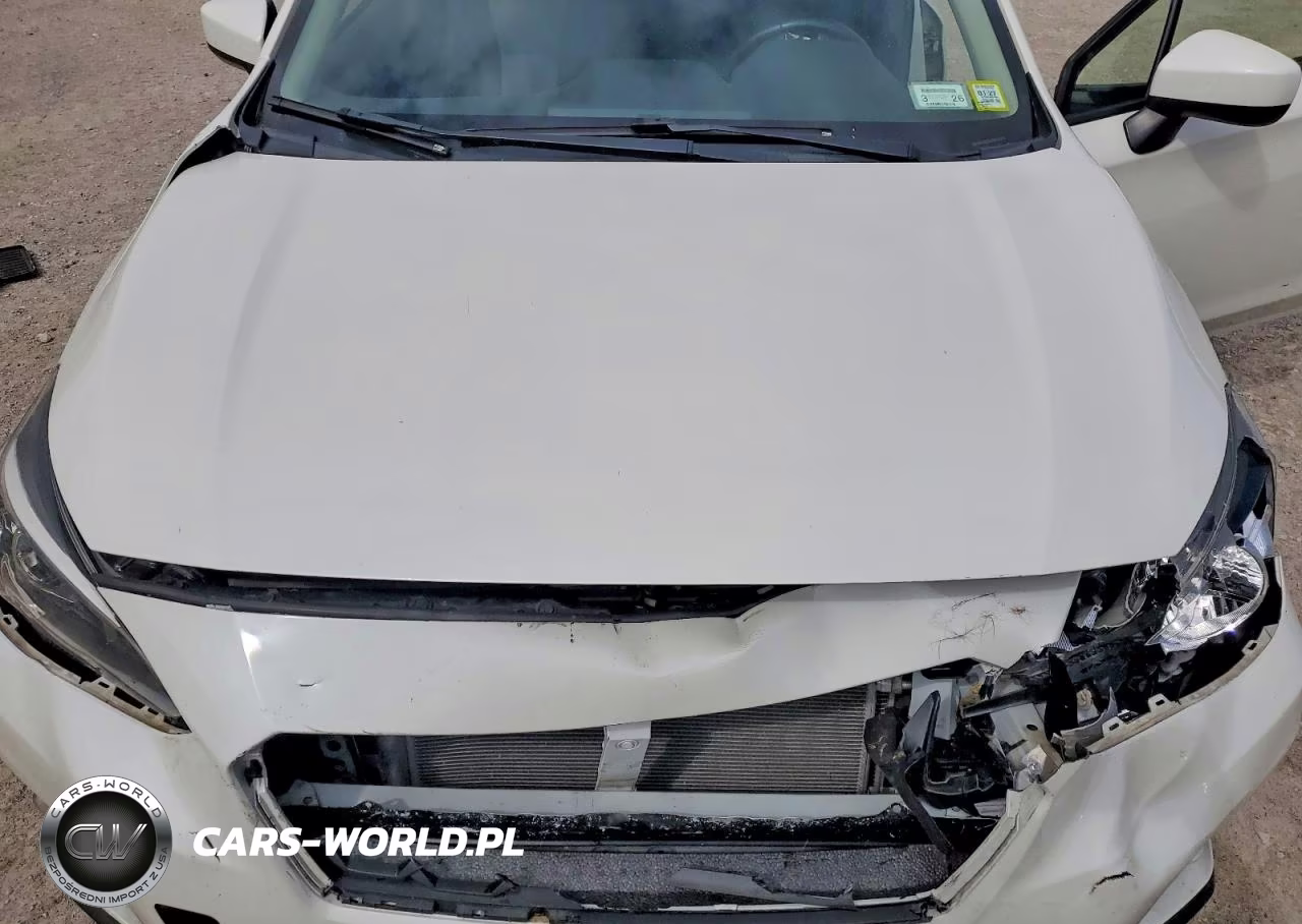 2019 Subaru Crosstrek Premium VIN:JF2GTAEC0KH339099 - 12