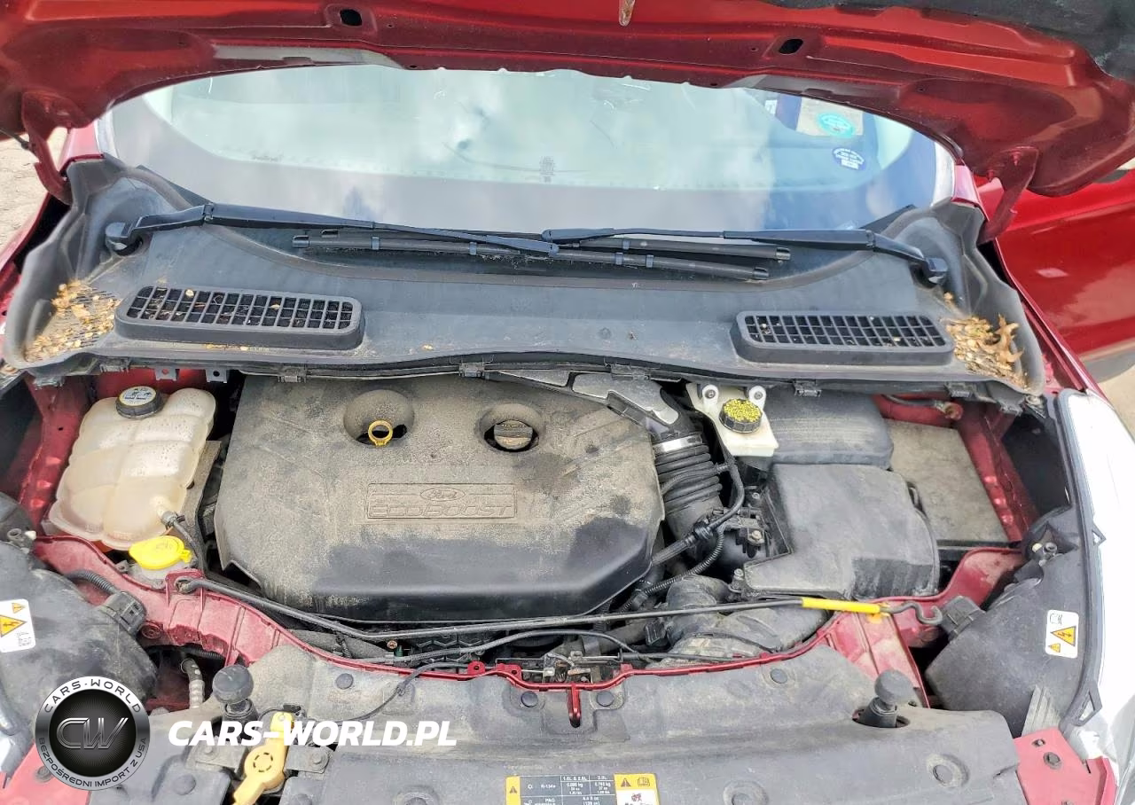 2013 Ford Escape Titanium VIN:1FMCU9J95DUA75614 - 12