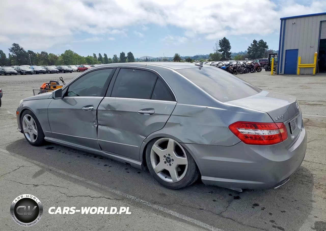 2010 Mercedes-Benz E 550 VIN:WDDHF7CBXAA249561 - 2