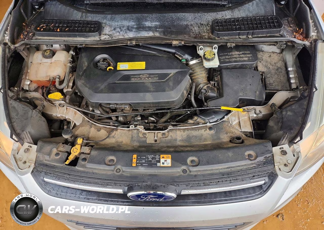 2014 Ford Escape Se VIN:1FMCU0GX7EUC81553 - 12
