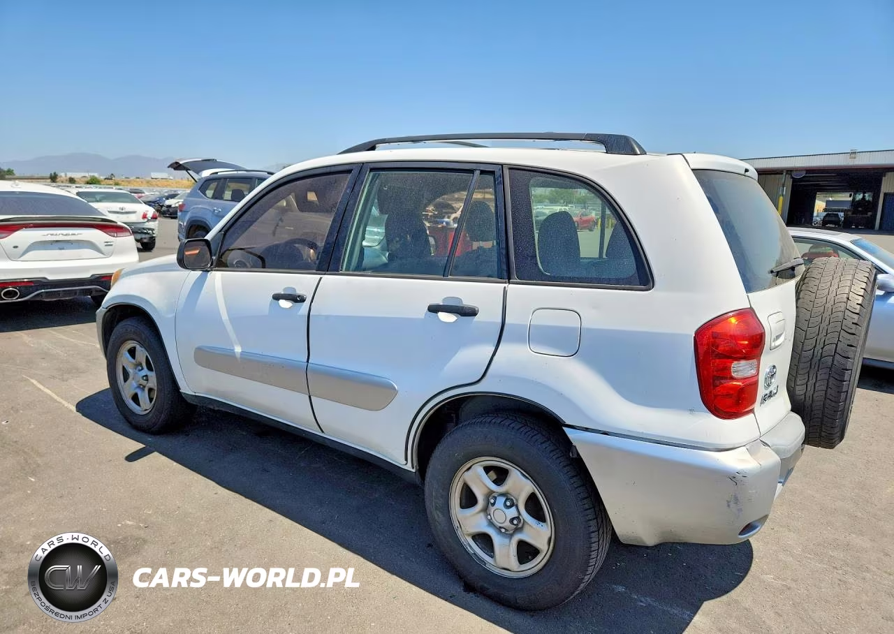 2004 Toyota Rav4 Base VIN:JTEGD20V040006182 - 2