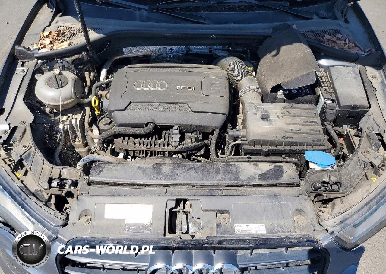 2016 Audi A3 Premium VIN:WAUA7GFF8G1091668 - 11