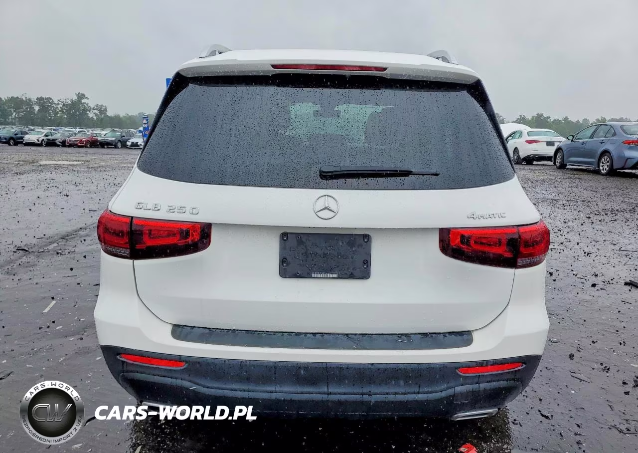 2021 Mercedes-Benz Glb 250 4Matic VIN:W1N4M4HB1MW160502 - 6