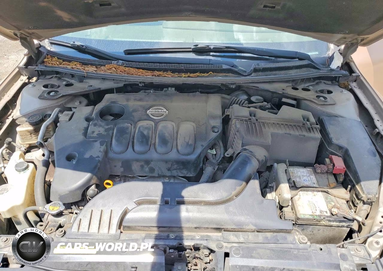 NISSAN ALTIMA BAS VIN:1N4AL2AP0CC154820 - 11