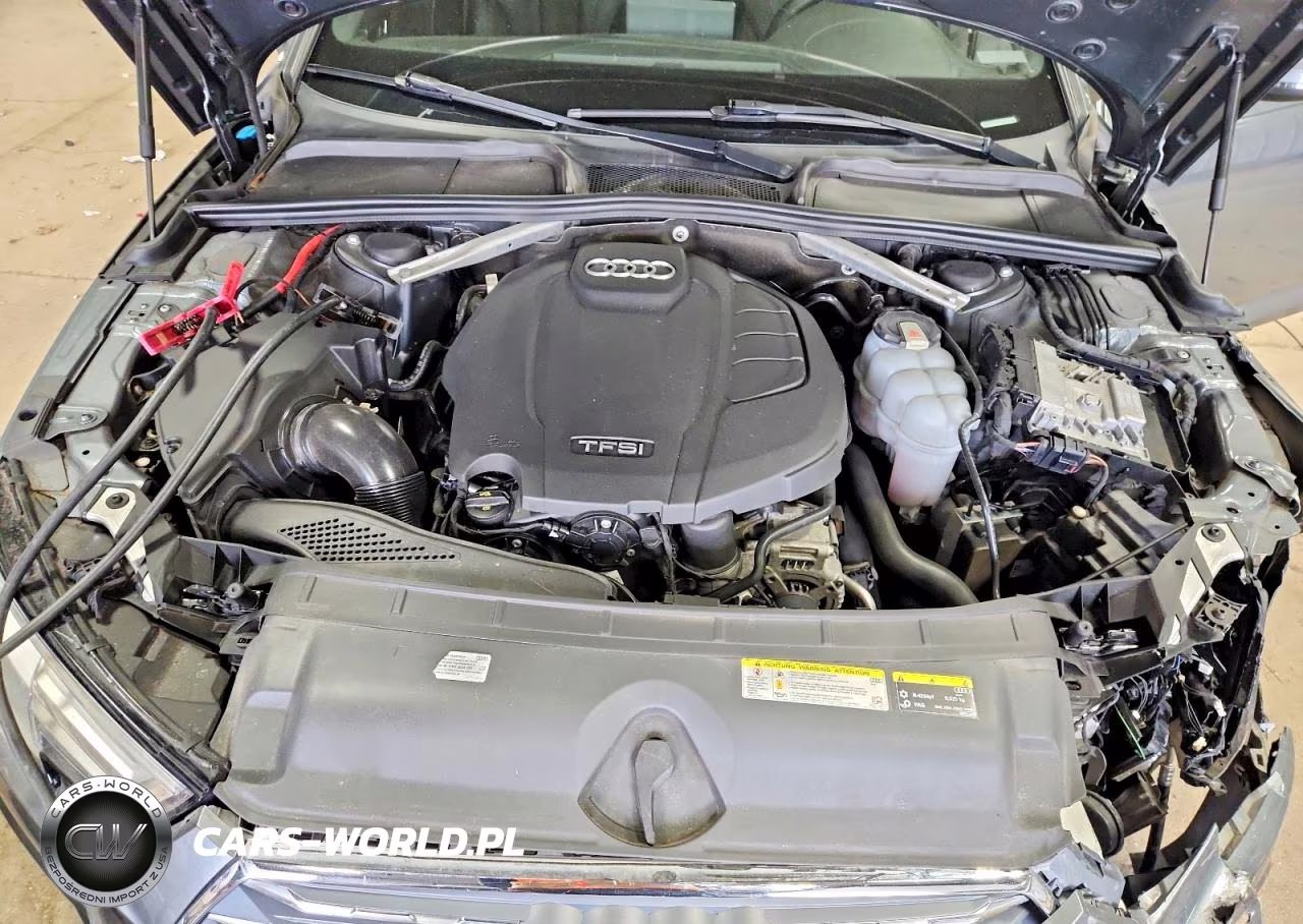 2019 Audi A4 Premium Plus VIN:WAUENAF47KN018523 - 11