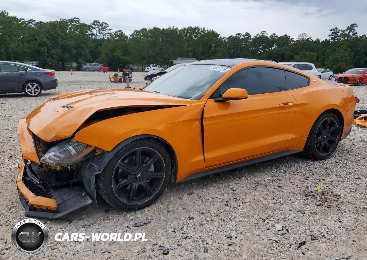 2019 Ford Mustang