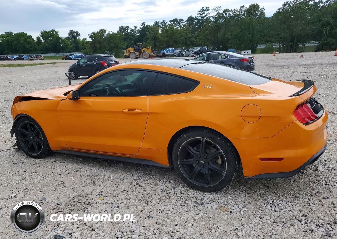2019 Ford Mustang VIN:1FA6P8TH0K5112010 - 2