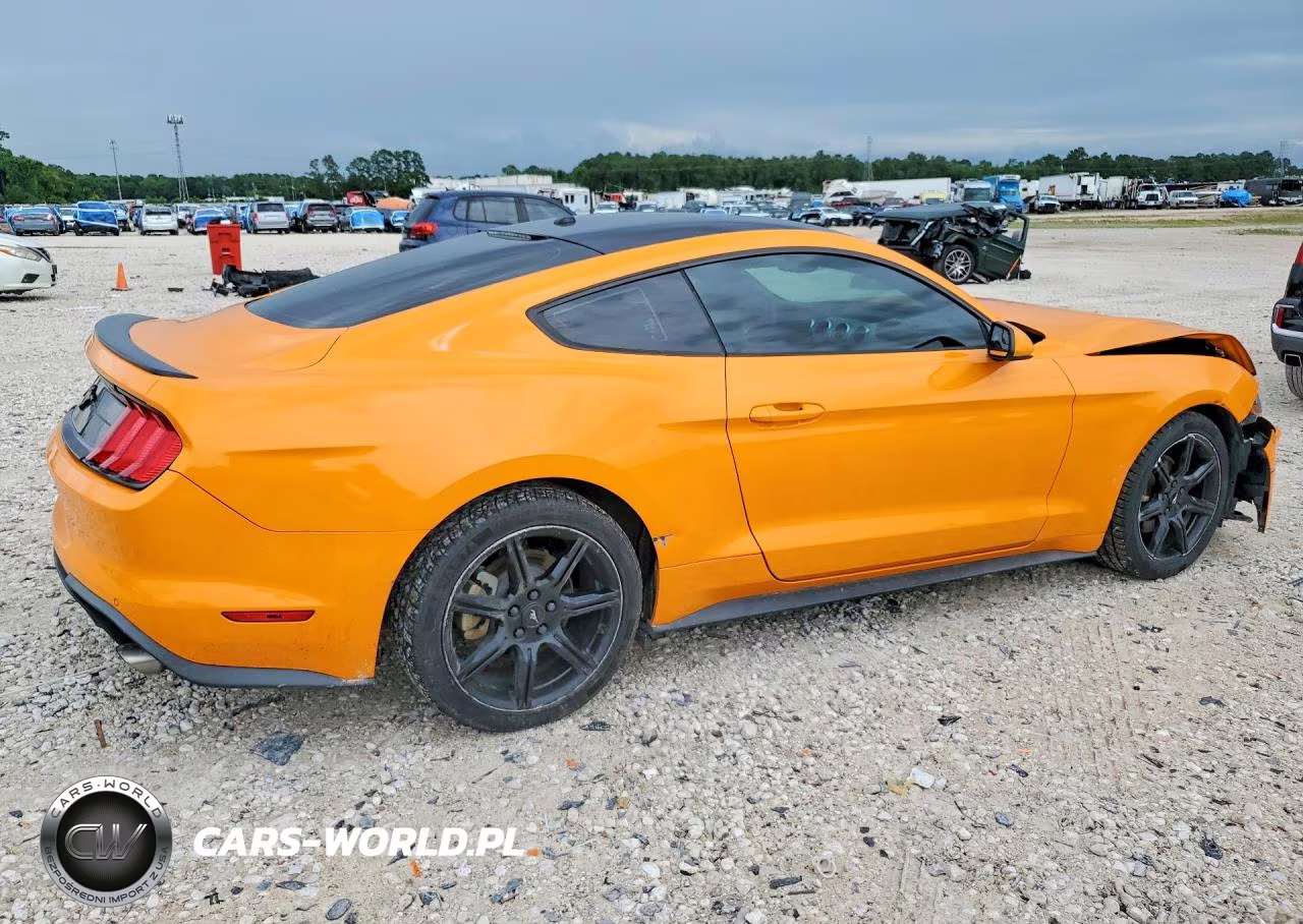 2019 Ford Mustang VIN:1FA6P8TH0K5112010 - 3