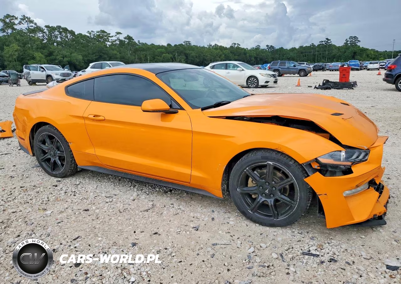 2019 Ford Mustang VIN:1FA6P8TH0K5112010 - 4