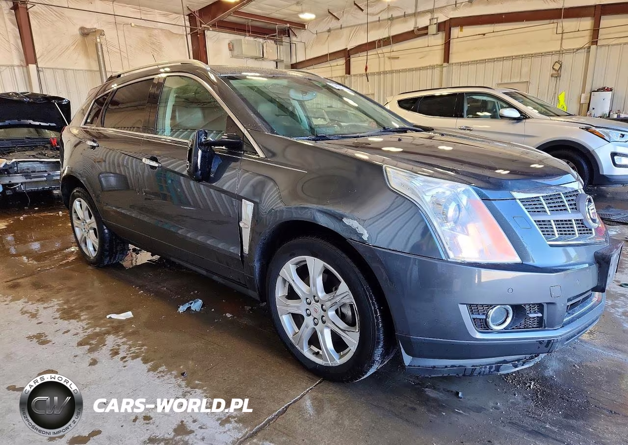 2010 Cadillac Srx Premium Collection VIN:3GYFNKE44AS555699 - 4