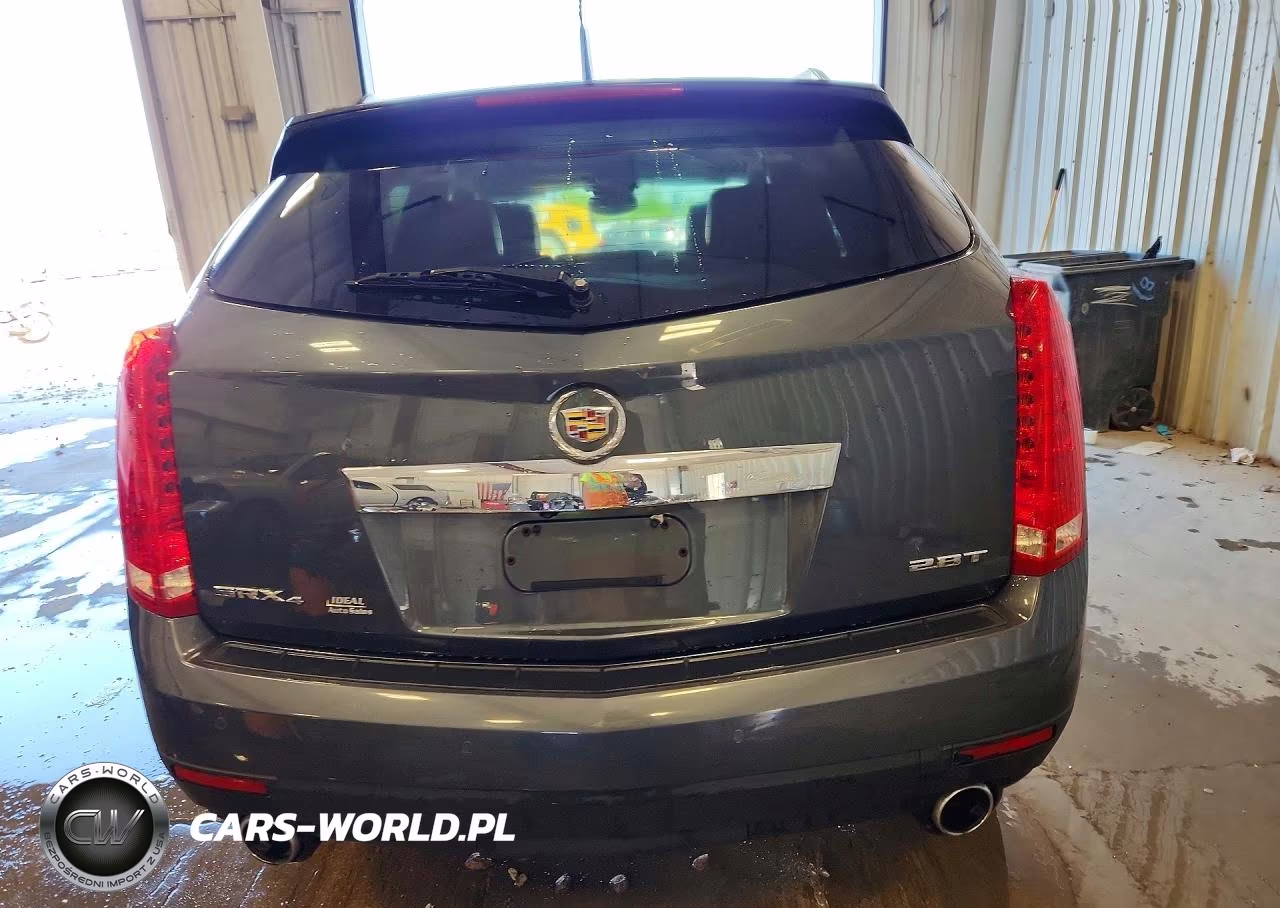 2010 Cadillac Srx Premium Collection VIN:3GYFNKE44AS555699 - 6