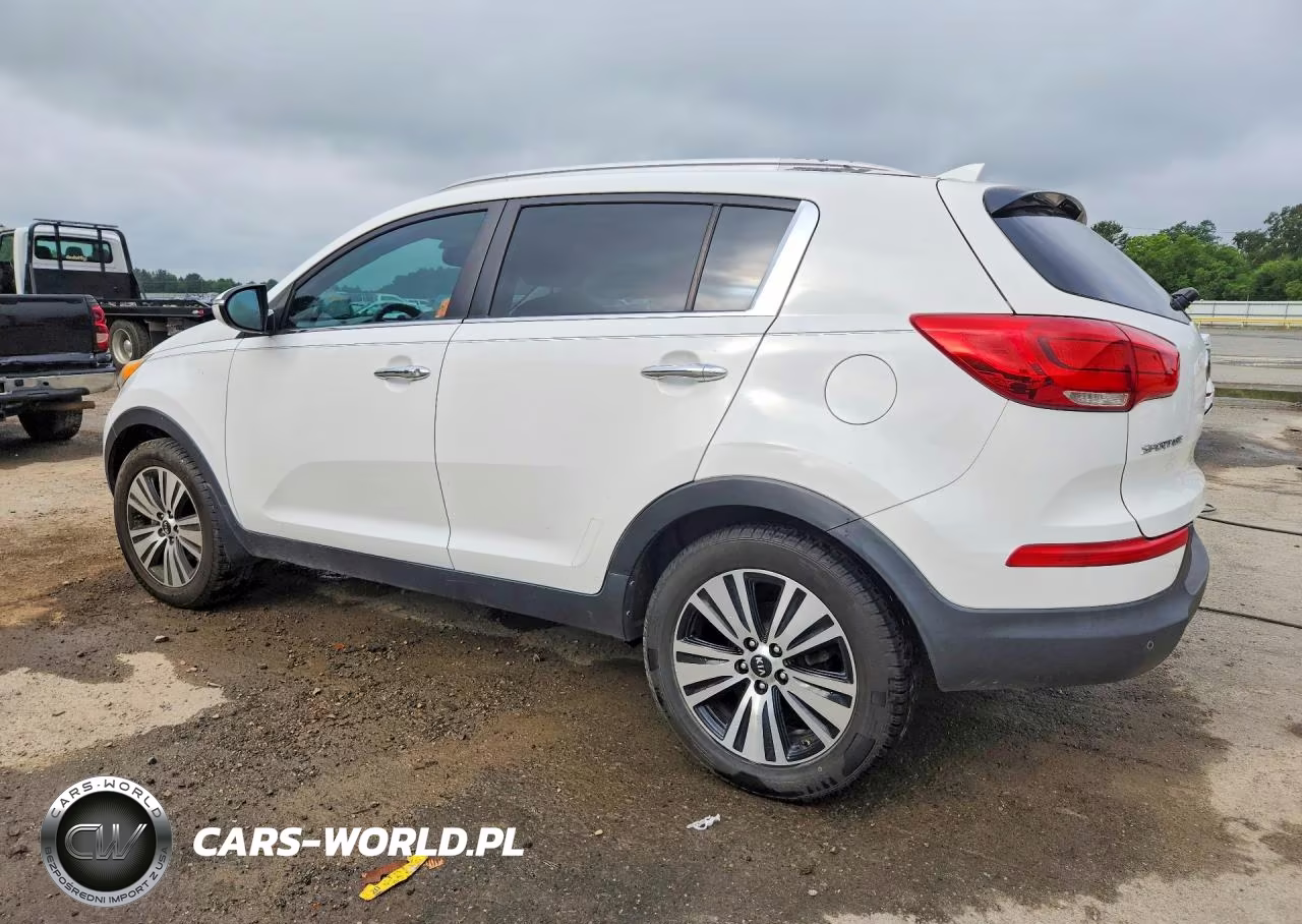 2016 Kia Sportage Ex VIN:KNDPC3ACXG7815100 - 2
