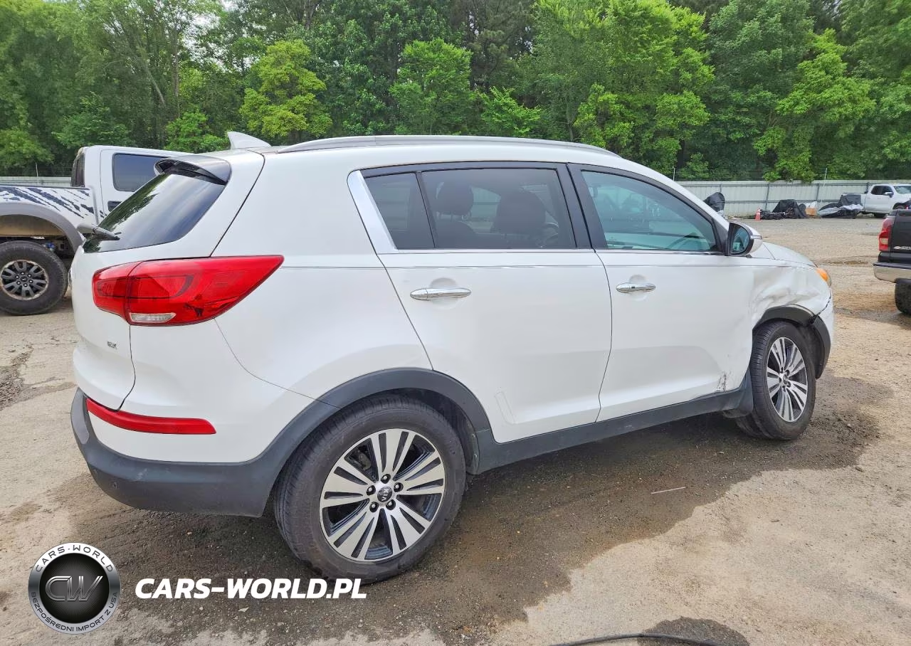 2016 Kia Sportage Ex VIN:KNDPC3ACXG7815100 - 3