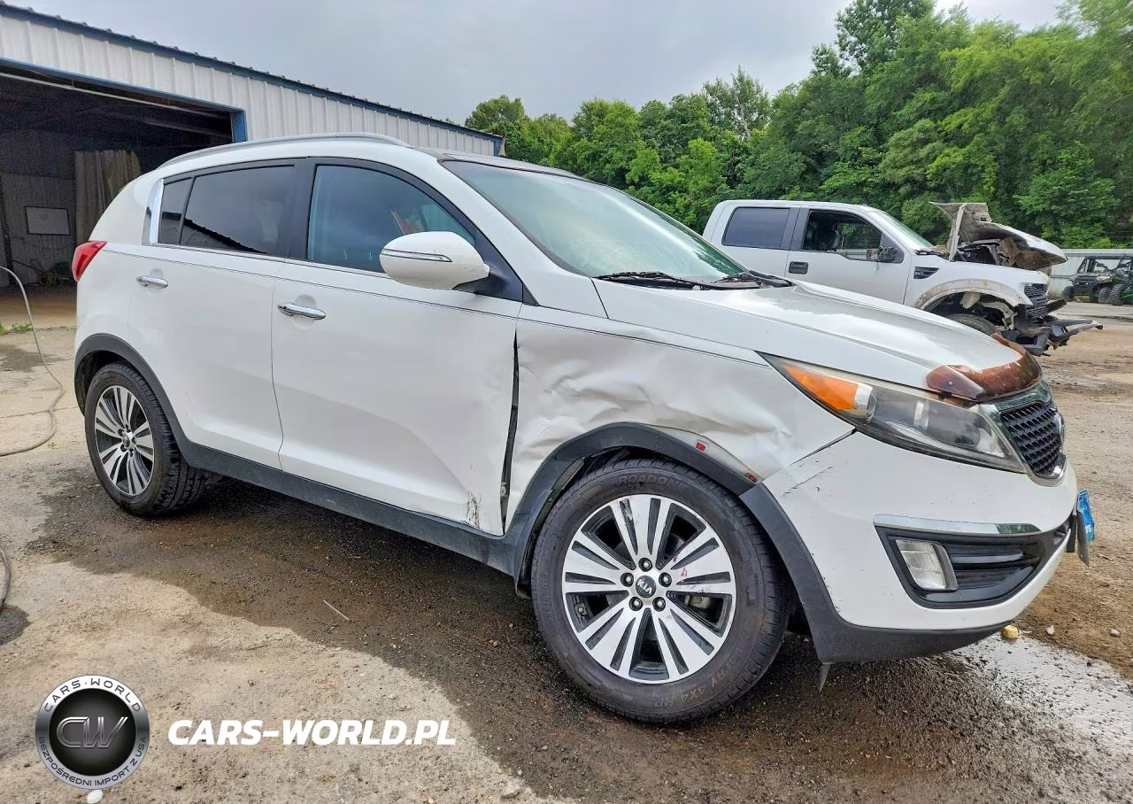 2016 Kia Sportage Ex VIN:KNDPC3ACXG7815100 - 4