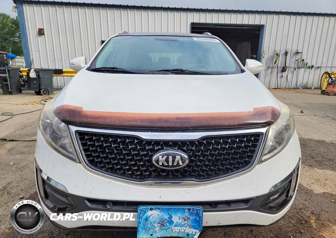 2016 Kia Sportage Ex VIN:KNDPC3ACXG7815100 - 5