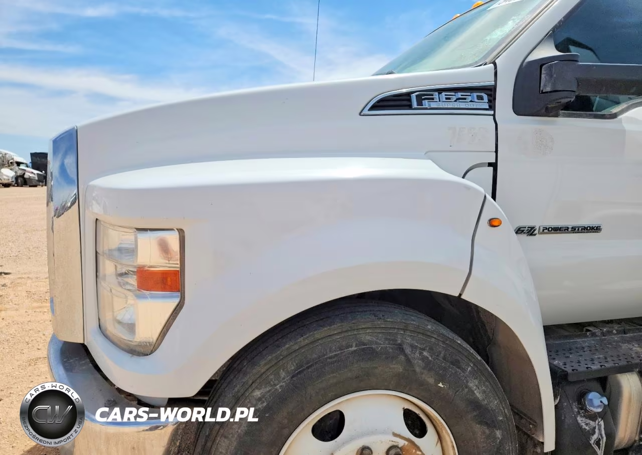 2019 Ford F650 Super Duty VIN:1FDNW6DC4KDF07423 - 11