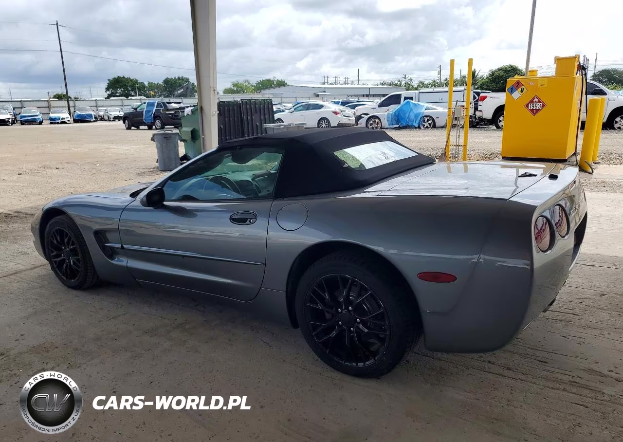 2004 Chevrolet Corvette VIN:1G1YY32G845106026 - 2