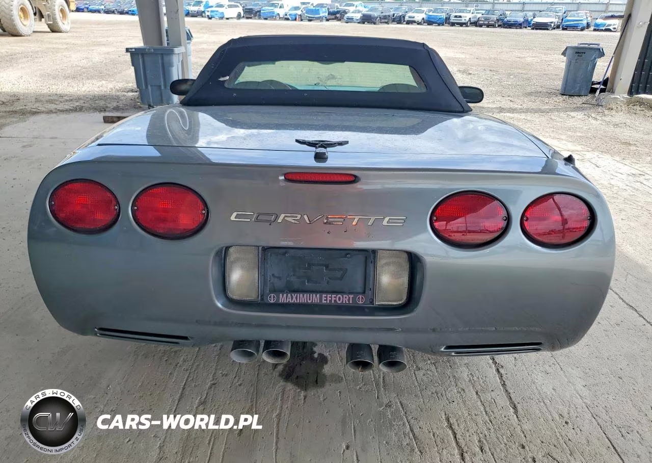 2004 Chevrolet Corvette VIN:1G1YY32G845106026 - 6