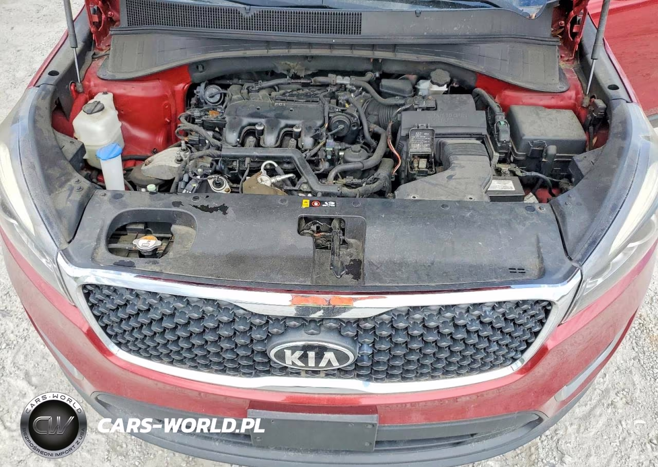 2017 Kia Sorento Lx V6 VIN:5XYPG4A55HG217383 - 12