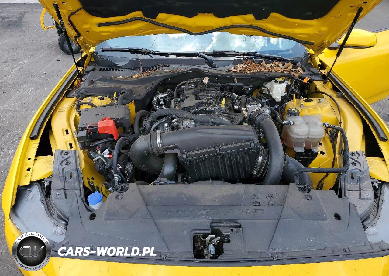 2024 Ford Mustang VIN:1FA6P8TH7R5116985 - 11