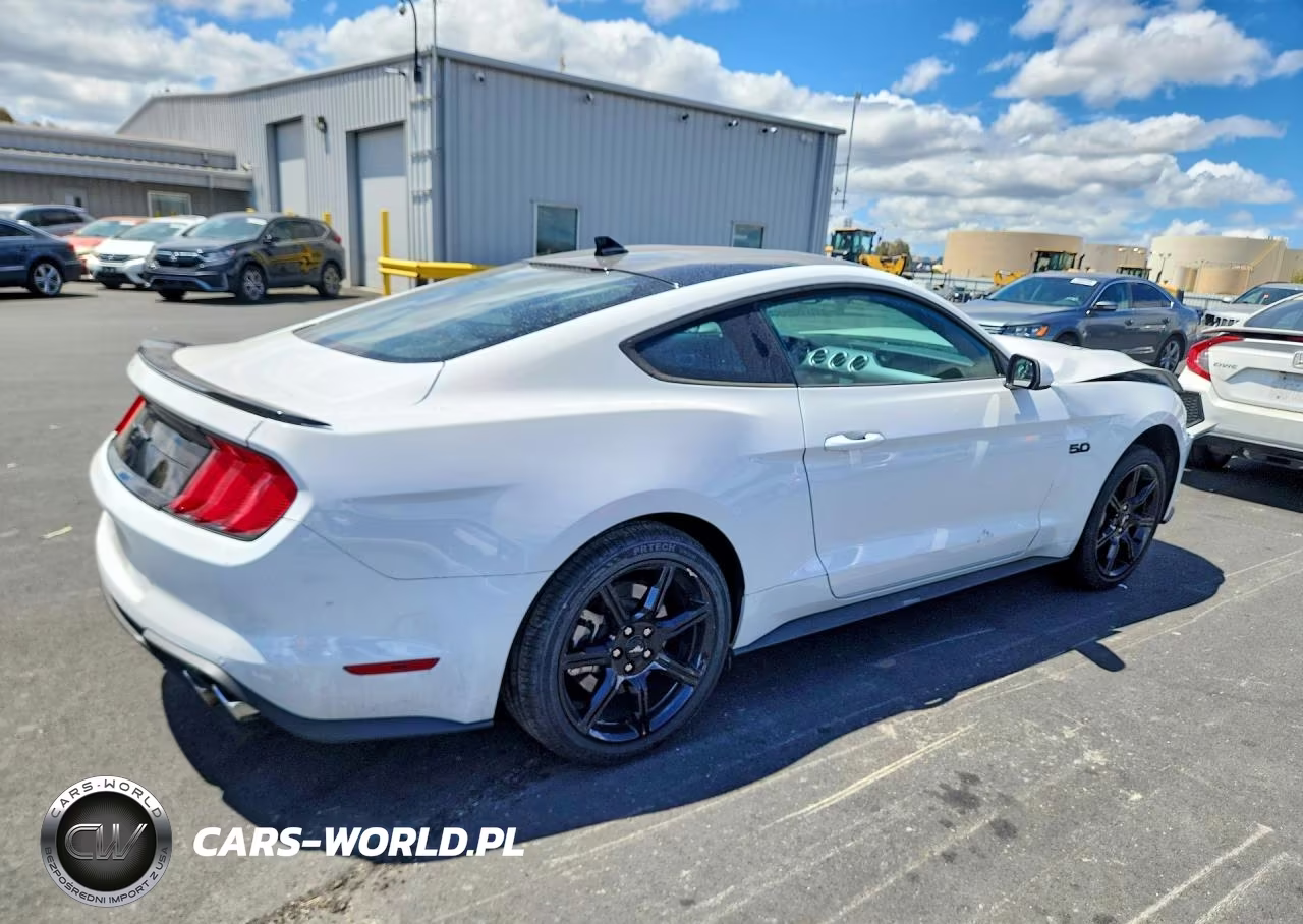 2020 Ford Mustang Gt VIN:1FA6P8CF3L5163548 - 3