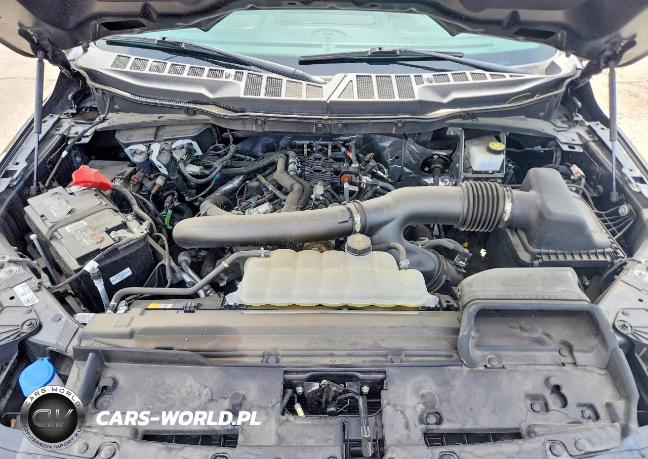 2024 Ford F150 Xlt VIN:1FTFW3L80RFA13059 - 11