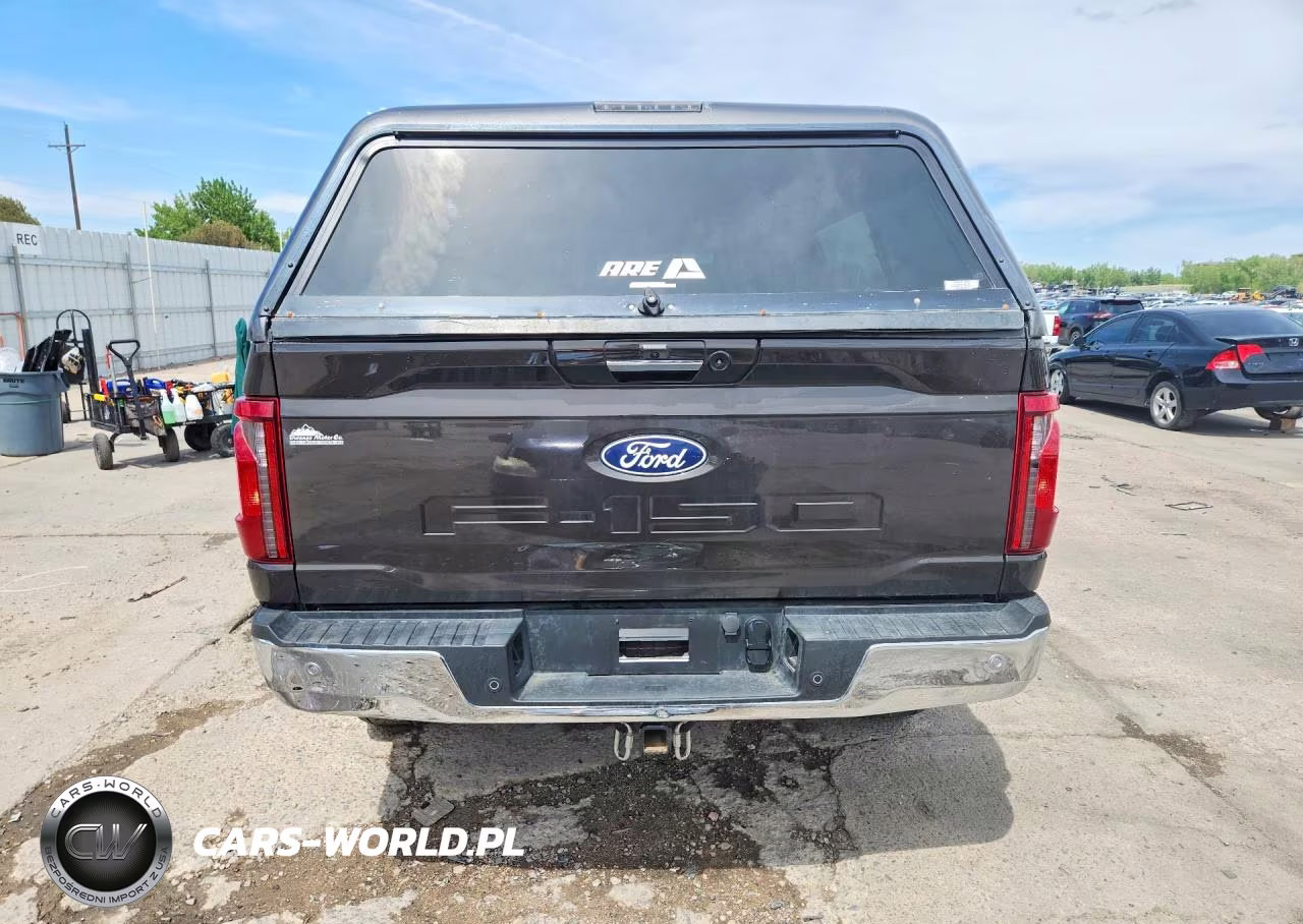 2024 Ford F150 Xlt VIN:1FTFW3L80RFA13059 - 6