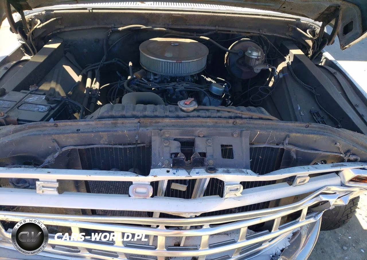 1965 Ford F-150 VIN:F10BR687497 - 11