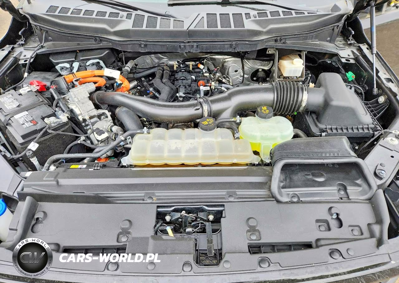 2024 Ford F150 Xlt VIN:1FTFW3LDXRFA88770 - 11