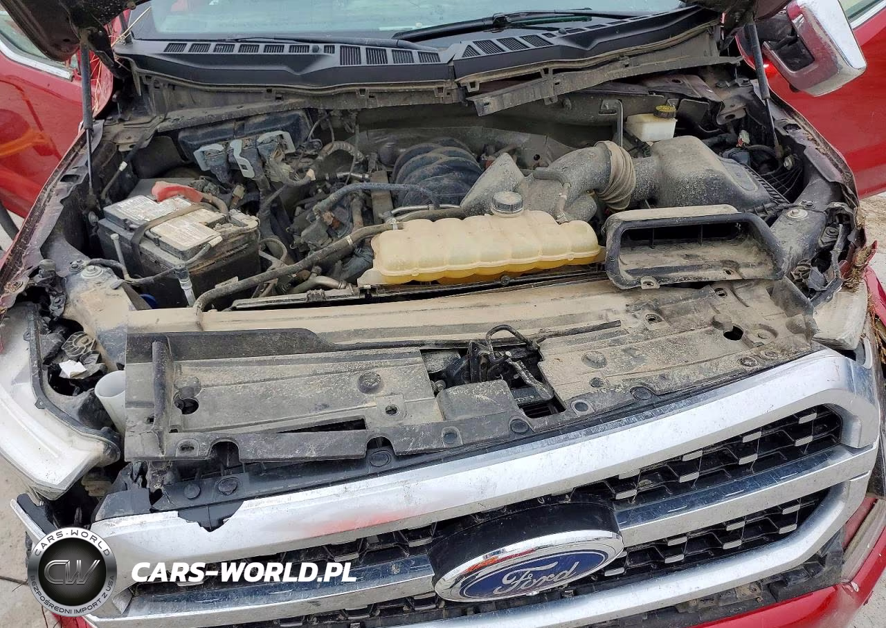 2023 Ford F150 VIN:1FTFW1E51PFC33251 - 11