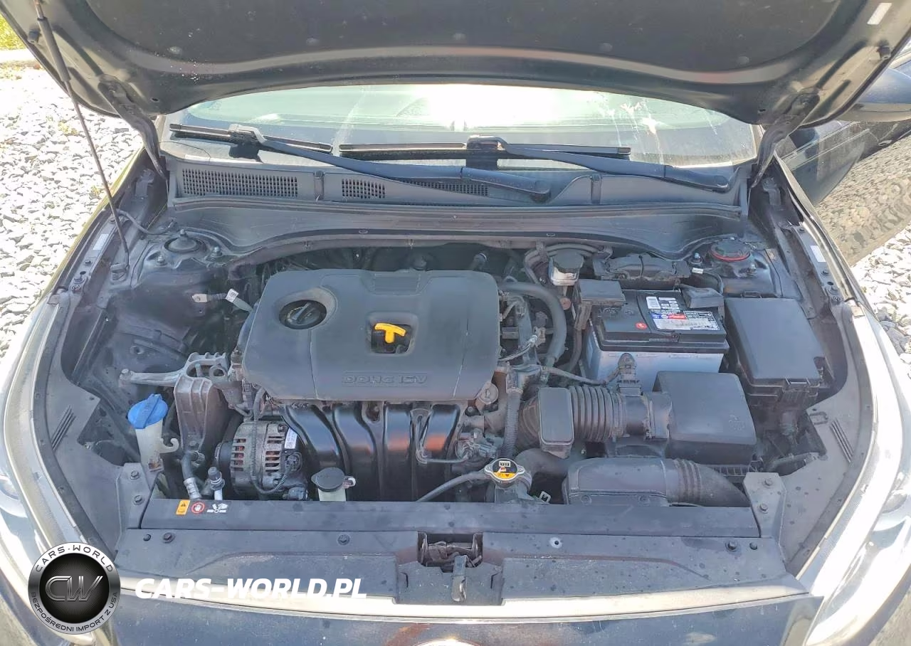 2019 Kia Forte Lxs VIN:3KPF24ADXKE122727 - 11