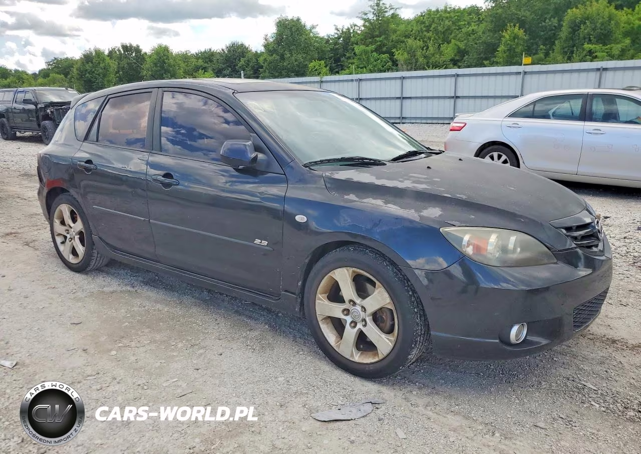 2006 Mazda 3 Hatchback VIN:JM1BK143561540945 - 4