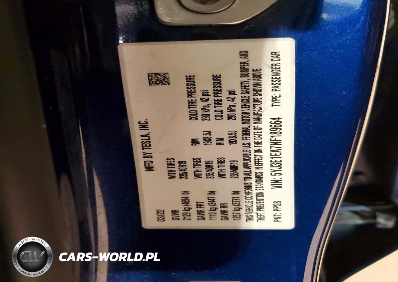 2022 Tesla Model 3 VIN:5YJ3E1EA7NF189664 - 12