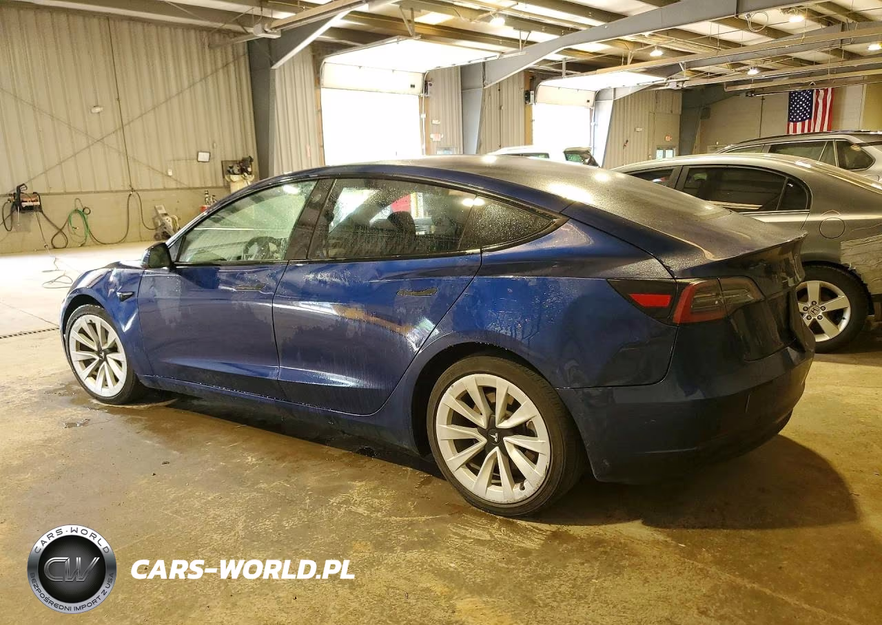 2022 Tesla Model 3 VIN:5YJ3E1EA7NF189664 - 2