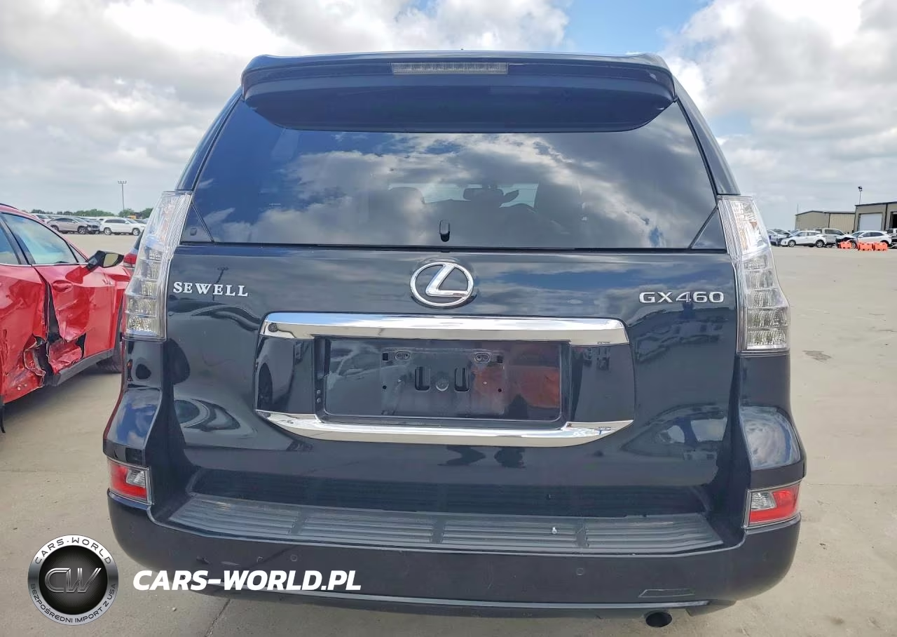 2019 Lexus Gx 460 Premium VIN:JTJJM7FX3K5217048 - 6