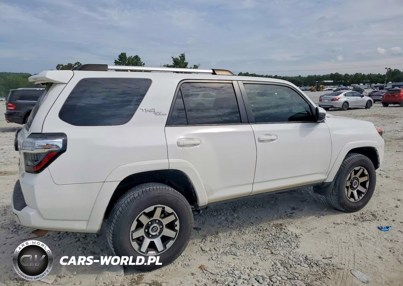 2018 Toyota 4Runner Trd Off-Road VIN:JTEBU5JR0J5494352 - 3