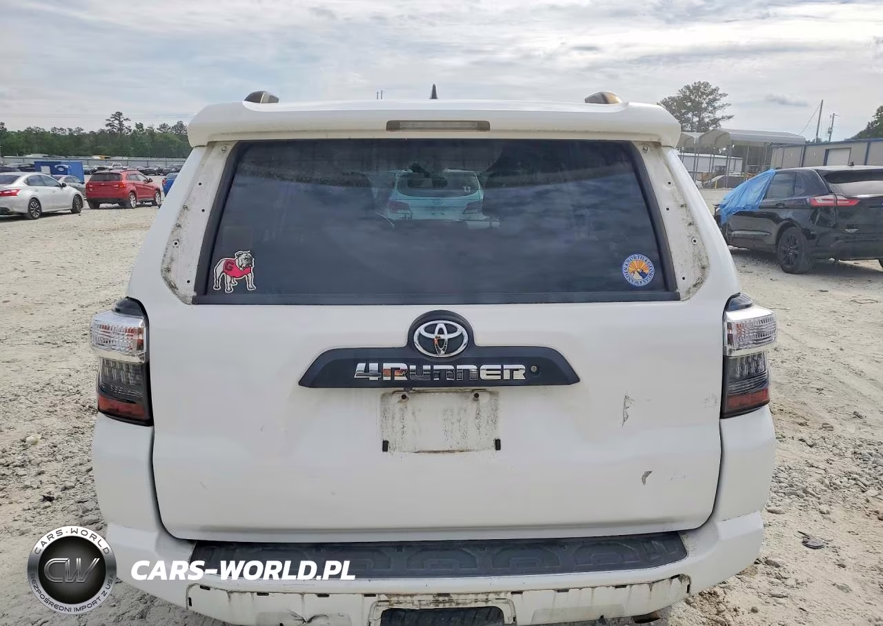 2018 Toyota 4Runner Trd Off-Road VIN:JTEBU5JR0J5494352 - 6
