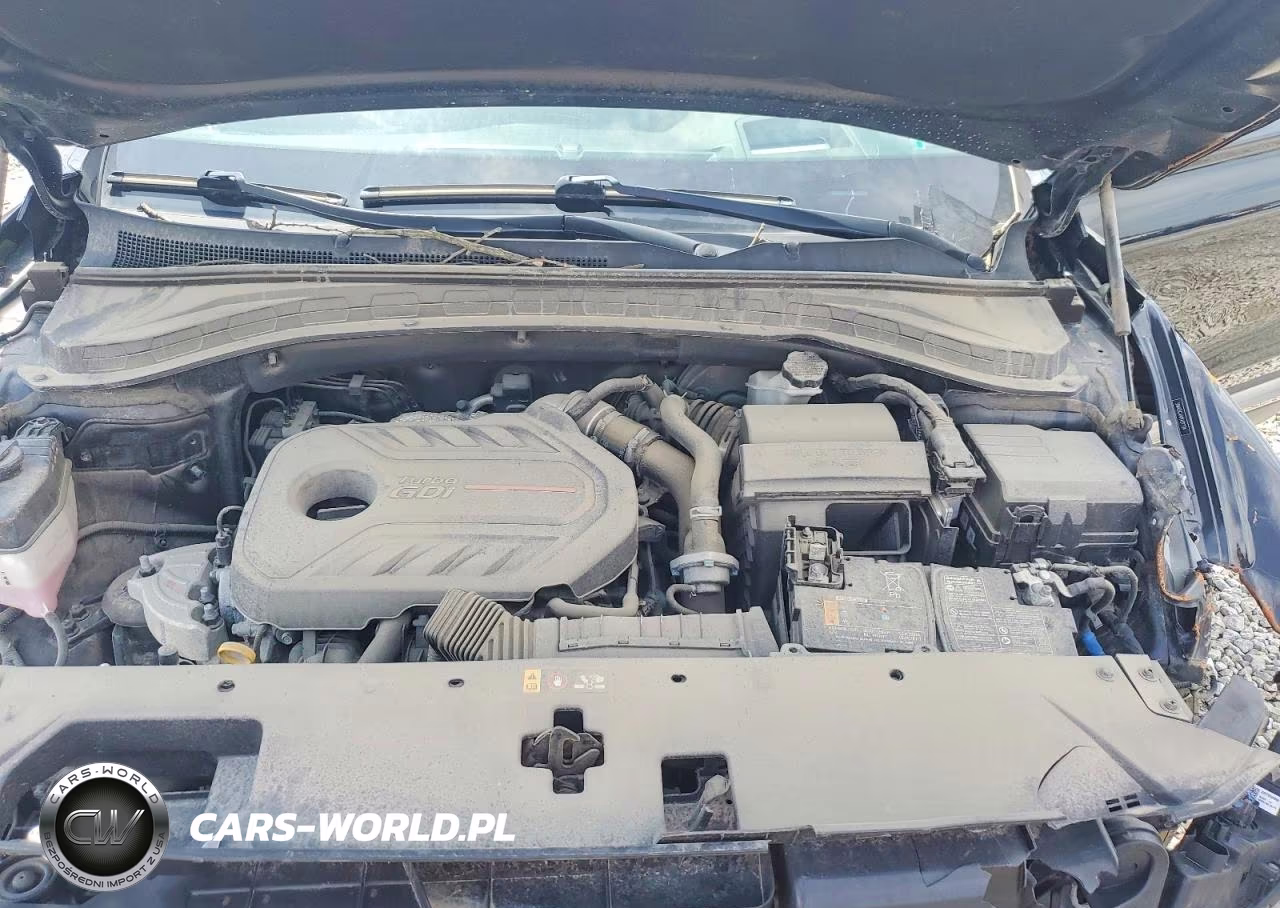 2020 Hyundai Santa Fe Limited 2.0T VIN:5NMS5CAA9LH297924 - 12