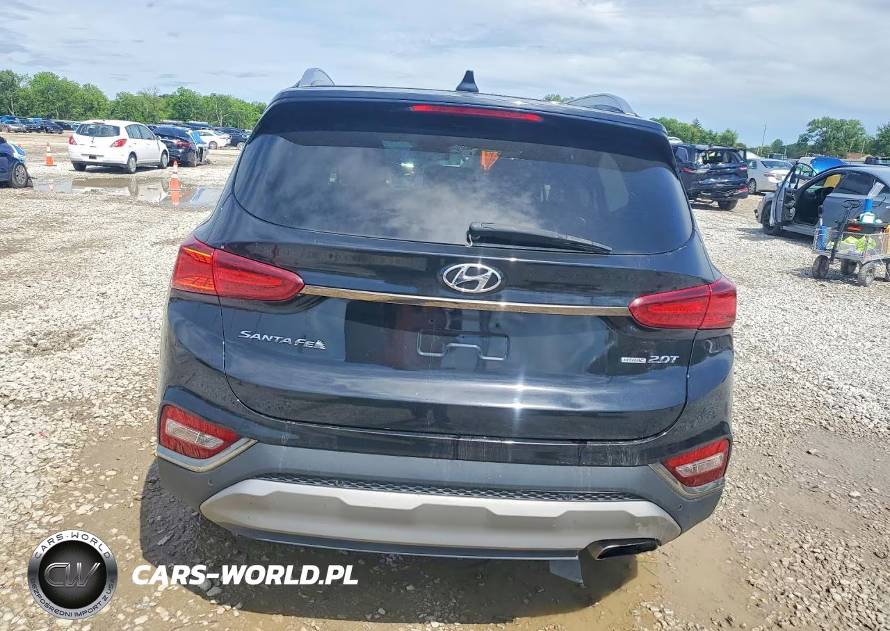 2020 Hyundai Santa Fe Limited 2.0T VIN:5NMS5CAA9LH297924 - 6