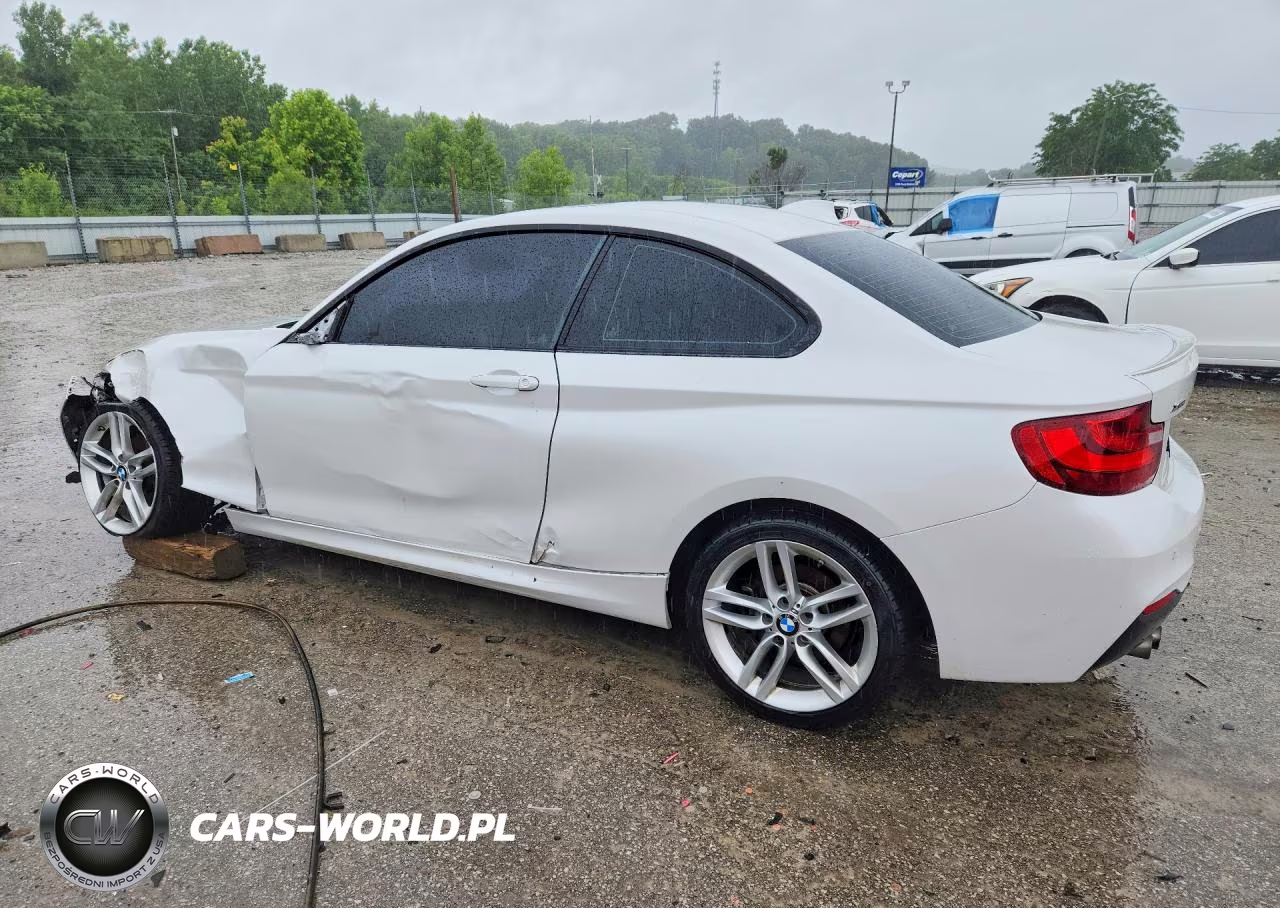 2016 BMW 228 Xi Sulev VIN:WBA1G9C51GV727041 - 2