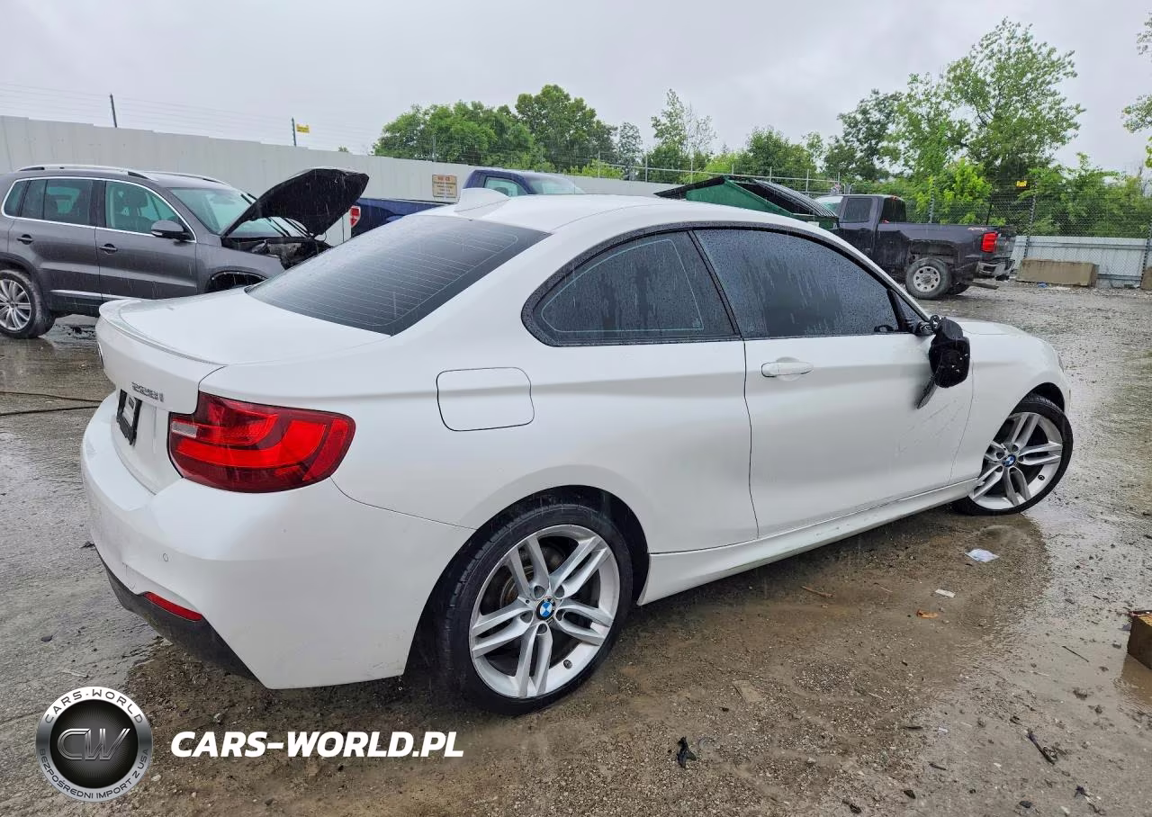 2016 BMW 228 Xi Sulev VIN:WBA1G9C51GV727041 - 3