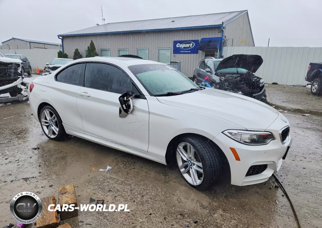 2016 BMW 228 Xi Sulev VIN:WBA1G9C51GV727041 - 4
