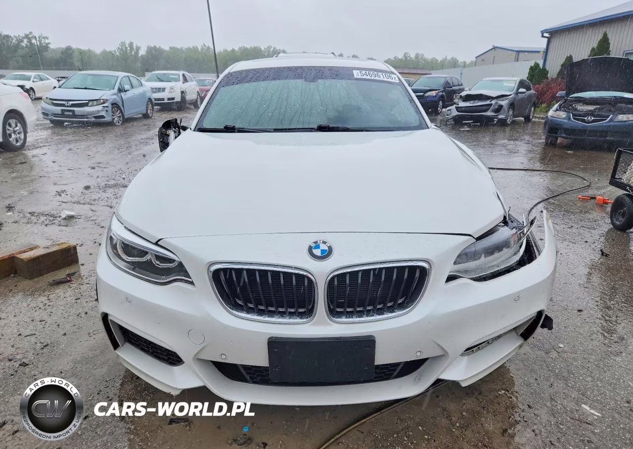 2016 BMW 228 Xi Sulev VIN:WBA1G9C51GV727041 - 5