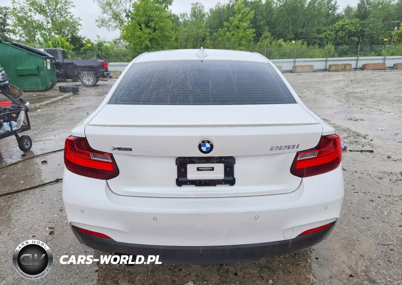 2016 BMW 228 Xi Sulev VIN:WBA1G9C51GV727041 - 6