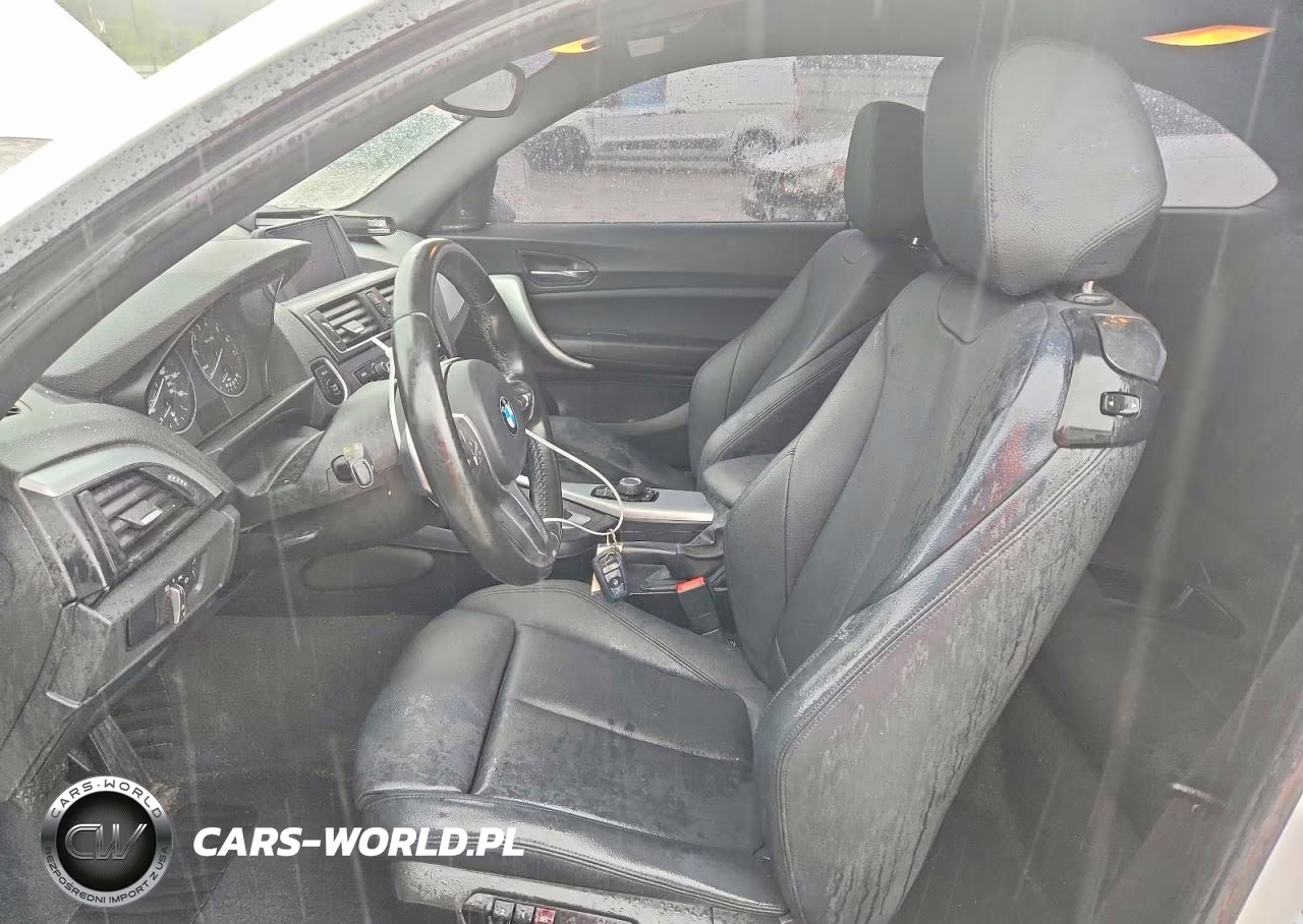 2016 BMW 228 Xi Sulev VIN:WBA1G9C51GV727041 - 7