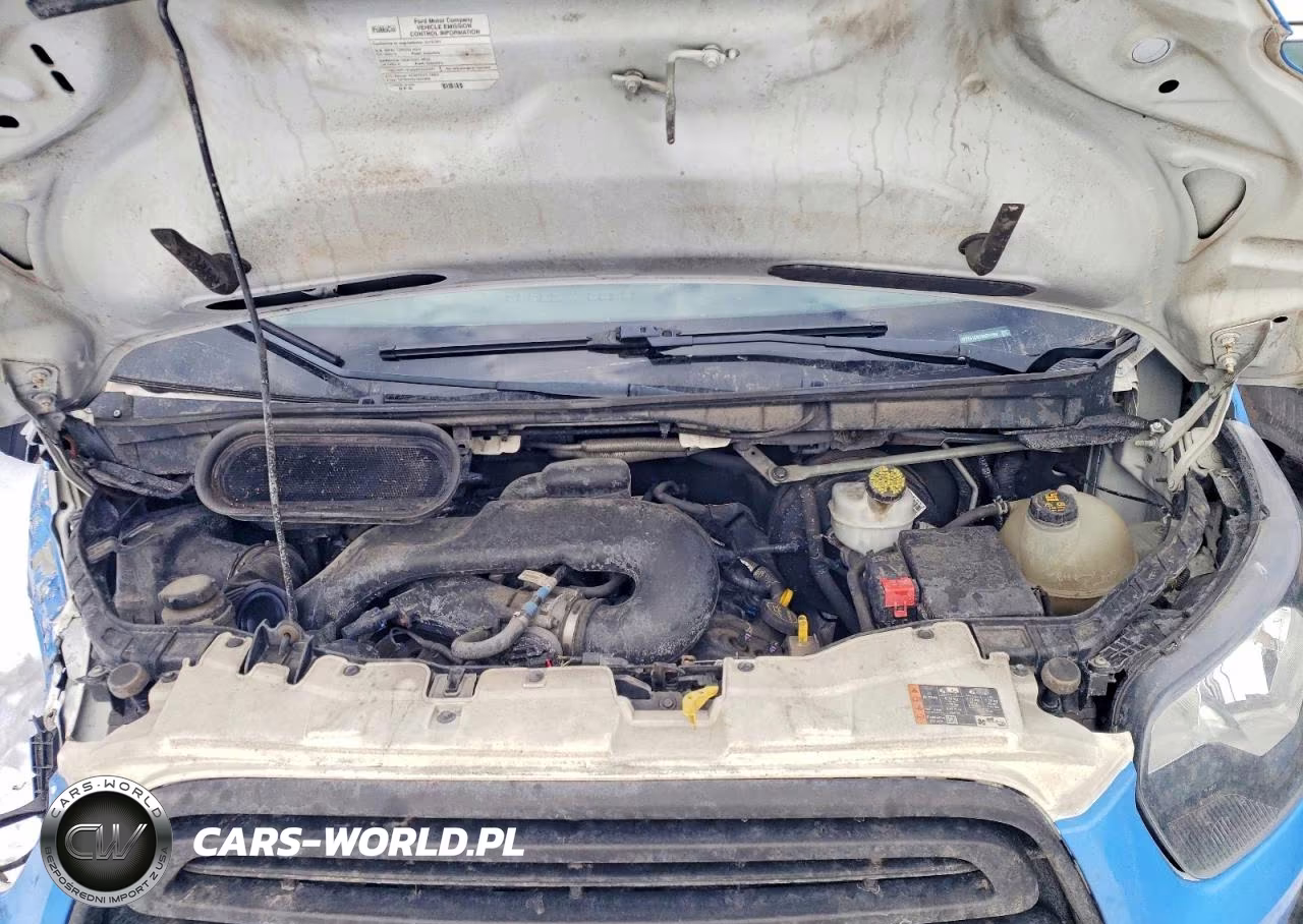 2019 Ford Transit T-250 VIN:1FTYR1CM1KKB11869 - 12